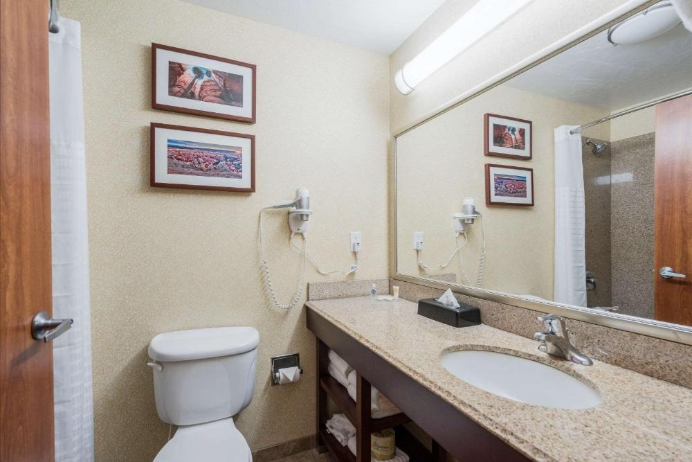 Comfort Inn & Suites Image 10