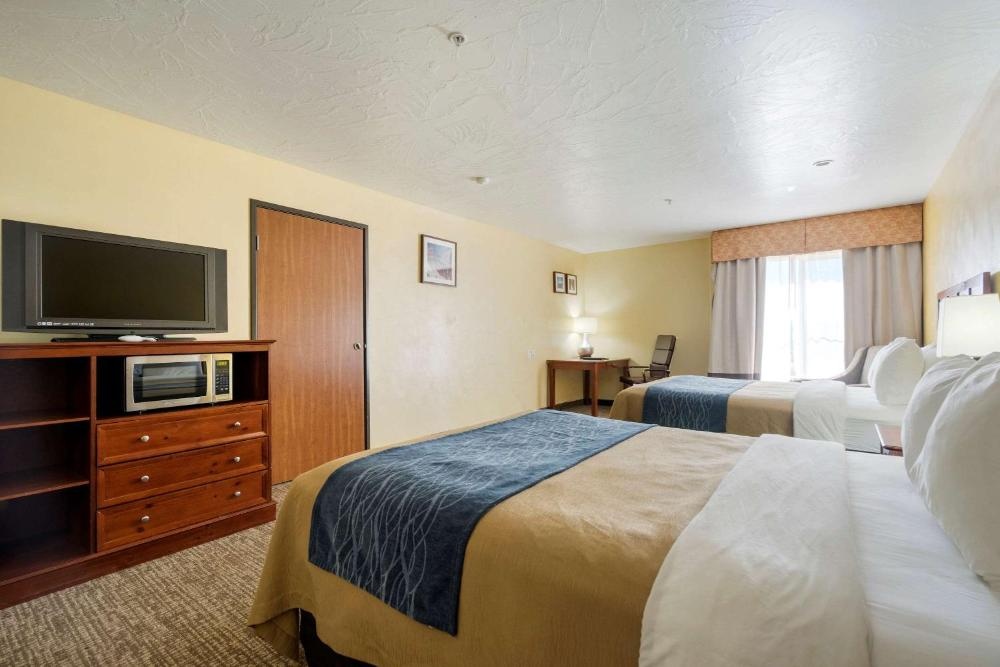 Comfort Inn & Suites Image 11