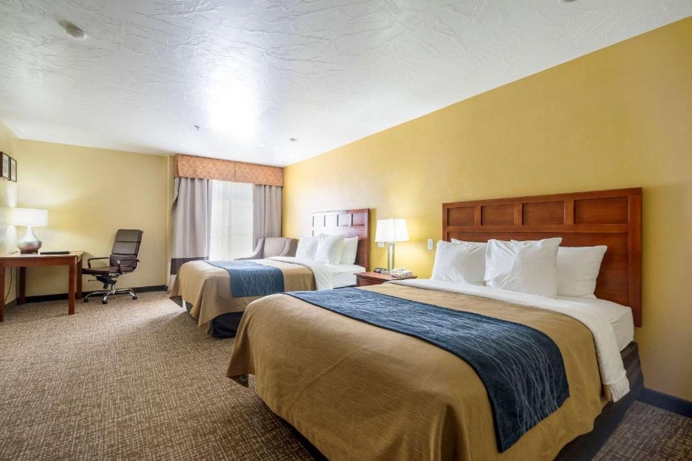 Comfort Inn & Suites Image 12