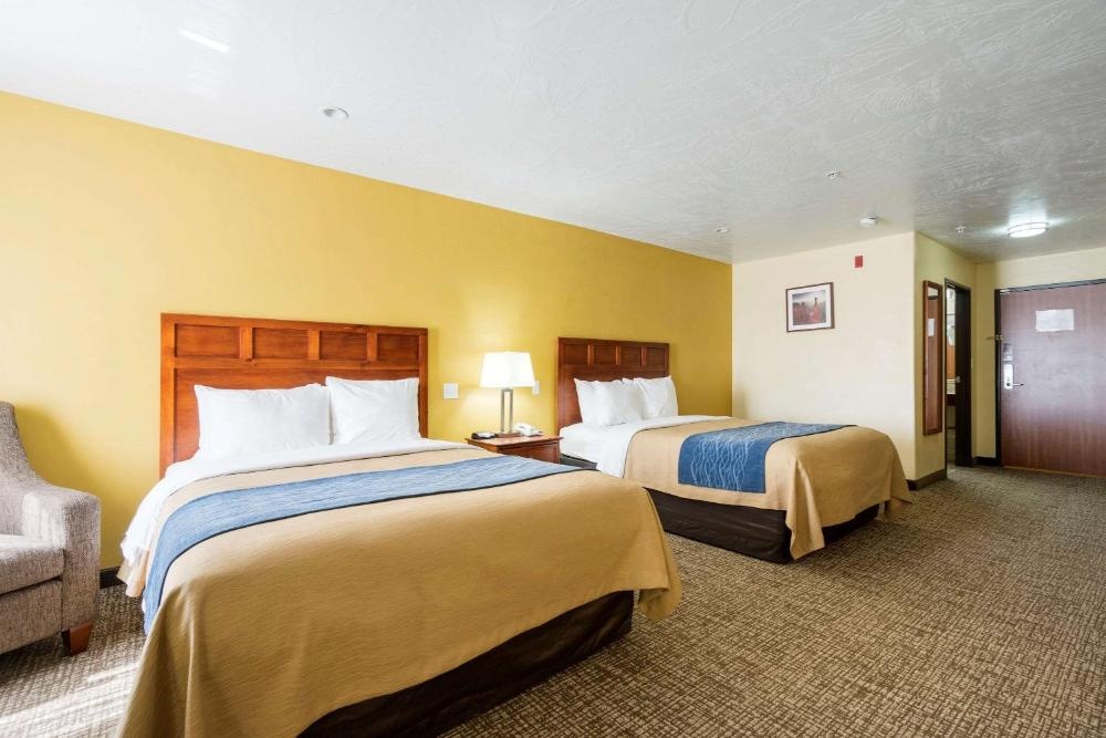 Comfort Inn & Suites Image 13