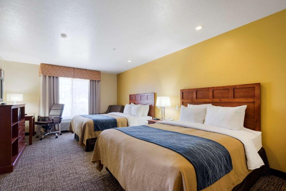 Comfort Inn & Suites Image 16