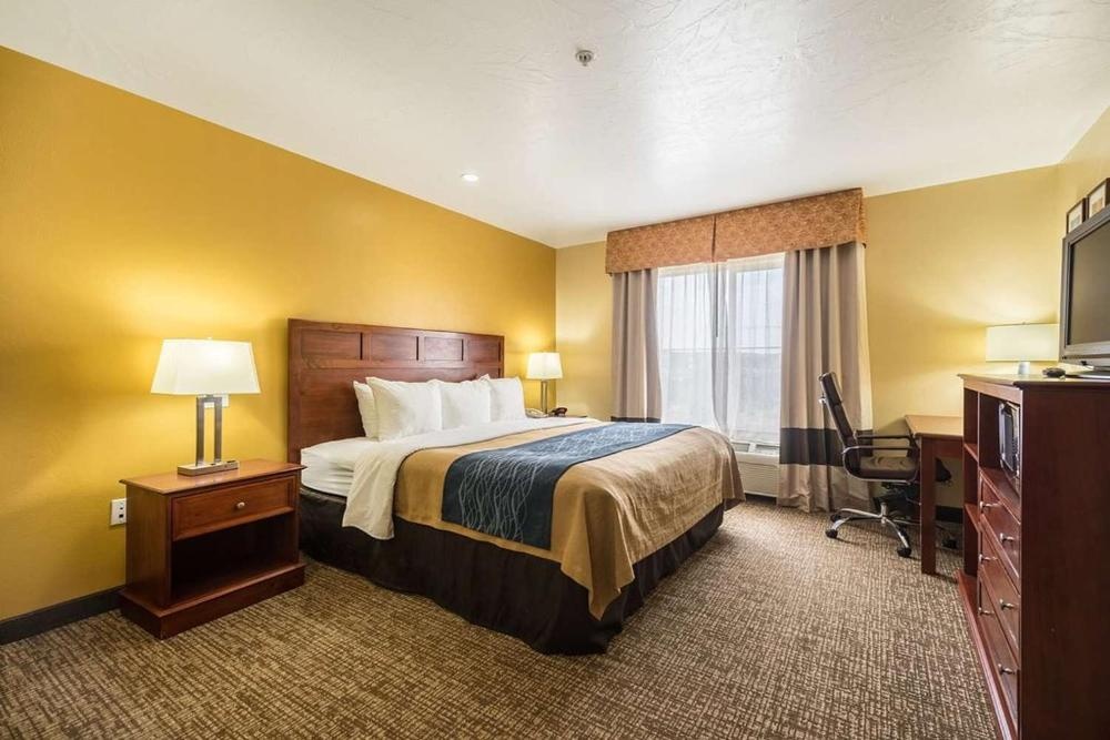 Comfort Inn & Suites Image 23
